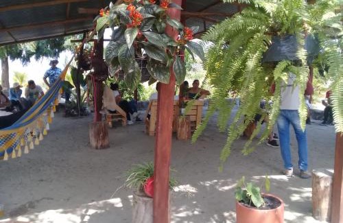 Villavieja Other | Pachingo la primavera