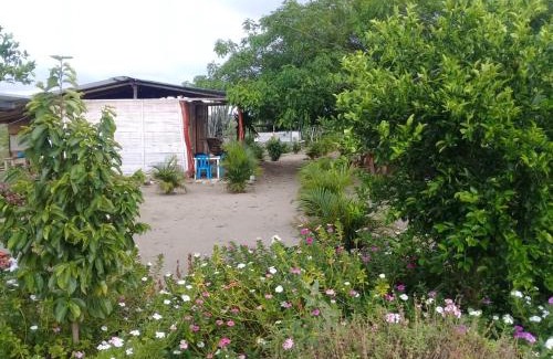 Villavieja Other | Pachingo la primavera