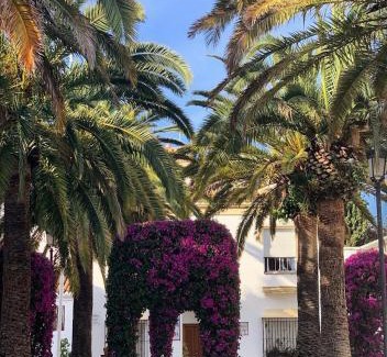Benalmadena Apartment | Palm House 10