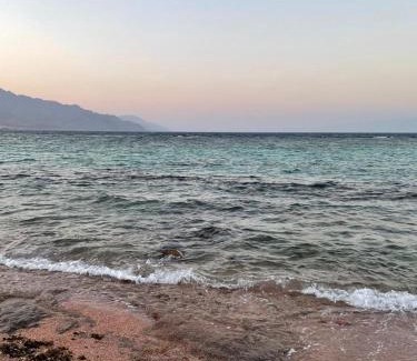Dahab Apartment | Palm nest home