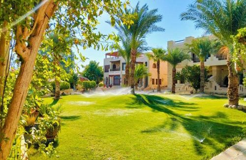 Tunis Village Hotel | palm shadow resort