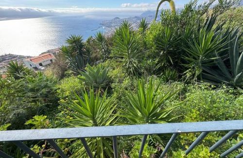 Sao Goncalo Villa | Palmeira`s Village