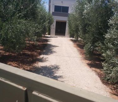 Argolis Region House | Panaritis