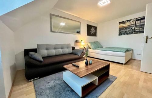 Graz City Centre Apartment | Panorama Schlossberg & Jacuzzi