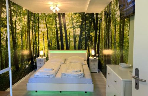 Hohegeiß Apartment | Panoramic Hohegeiß App 646 u 647 mit WLan