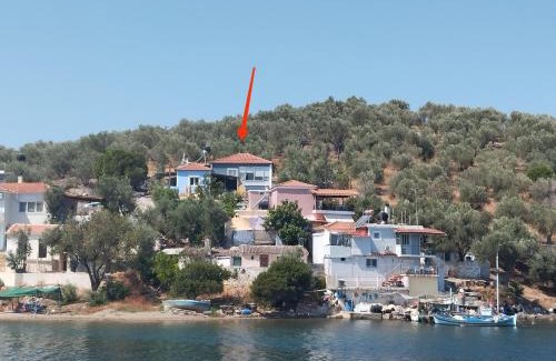 Mytilene Apartment | Pansofia