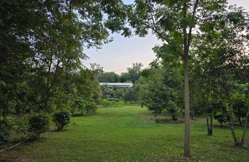 Suan Phueng House | PapaVacay สวนผึ้ง