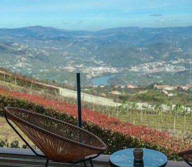 Lamego Cabin | Paraiso Douro