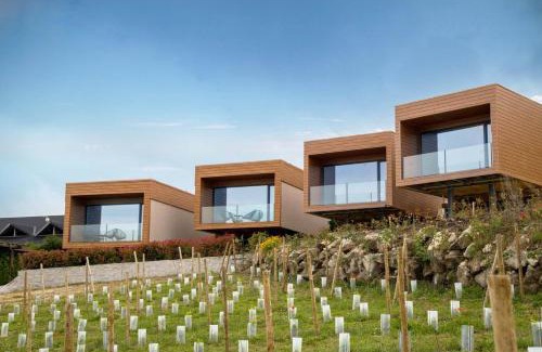 Lamego Cabin | Paraiso Douro