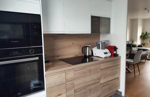 Bagneux Apartment | Parc EXPO prte d'orléans ORLY CDG Terrasse parking