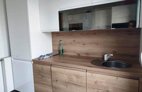 Bagneux Apartment | Parc EXPO prte d'orléans ORLY CDG Terrasse parking