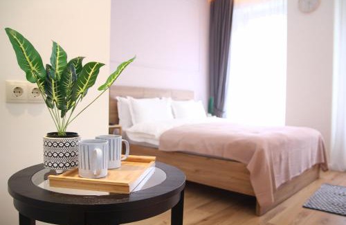 mtatsminda Apartment | Parilament on Rustaveli 4 rooms