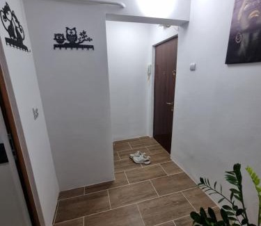Braila Apartment | Park Avenue 3