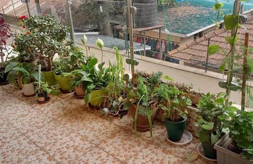 Parklands Apartment | parklands