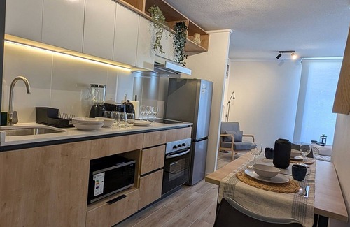 Downtown Santiago Apartment | Parque Curico Suites