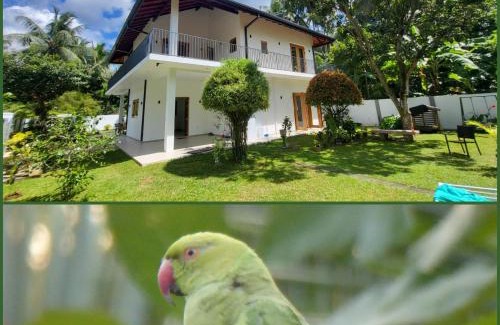 Negombo House | Parrot Paradise Negombo
