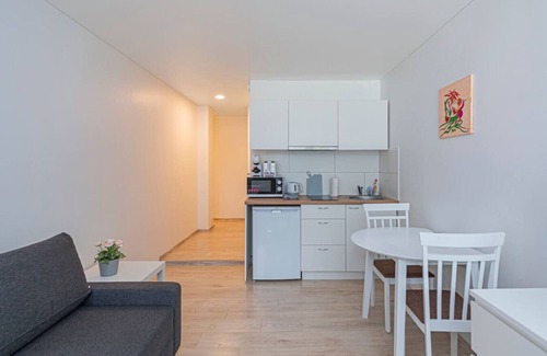 Kaunas Apartment | Partizanų studio ap 3 by Polo Apartments