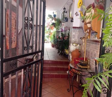 San Lorenzo House | PATIO POZANCO