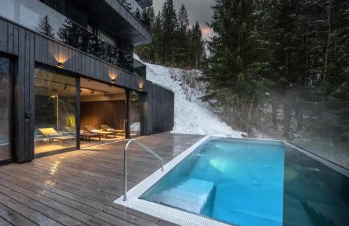 Kappl Ski Chalet | Paznauner Villen - Villa I