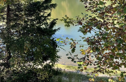 Asbury Cabin | Peaceful Lake Retreat