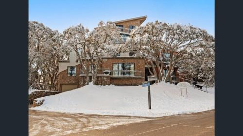 Mount Buller Apartment | Peak 203 A & B - Twin Key Apartments - Mt Buller