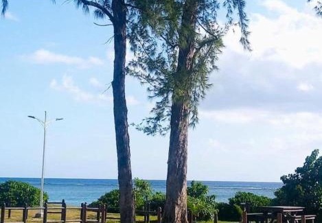 Wolmar Apartment | Pearl villa