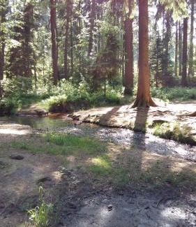 Grillenburg House | Pension am Tharandter Wald