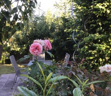 Stupferich Apartment | Pension Malwine