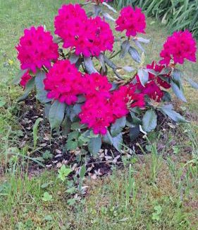 Marianske Lazne House | Pension Villa Hany