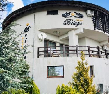 Colina House | Pensiunea Beluga