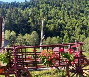 Vadu Motilor Cabin | Pensiunea Cabana Viselor ,Apuseni