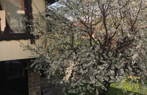Rasnov House | Pensiunea DARMA