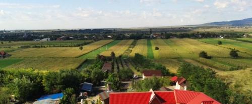 Maracineni Cabin | Pensiunea Privighetoarea