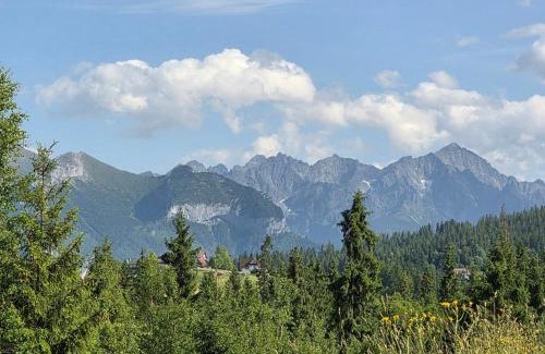 Bukowina Tatrzanska Bed & Breakfast | Pensjonat Harmatówka - ATRAKCYJNY PAKIET ŚWIĄTECZNY - blisko basenów termalnych