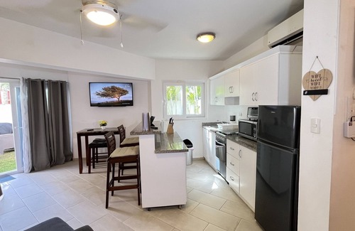 Montellano Apartment | Penthouse suite in Cabarete on the beachn Full kitchen with backyard and BBQ
