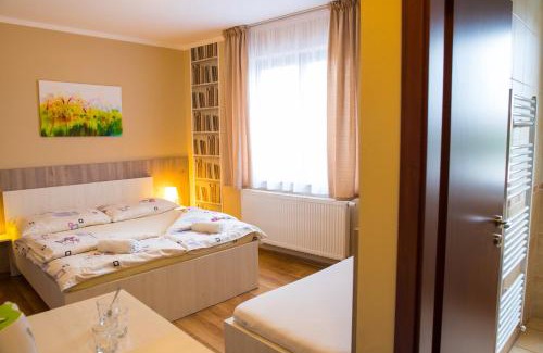 Velky Meder House | Penzión Stefarez New