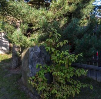 Svetnov House | Penzion Čertův kámen