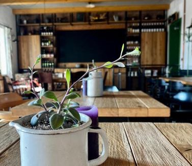 Znojmo House | Penzion a bistro Starý kopec