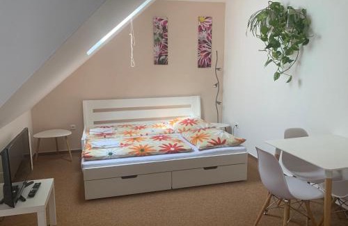 Karlov House | Penzion Karlov