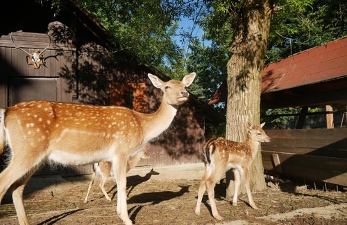 Prostredni Becva House | Penzion Obora