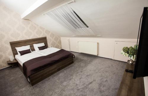 Olomouc House | Penzion Olomouc