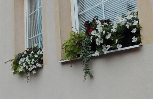 Trebic House | Penzion pod Kostelíčkem