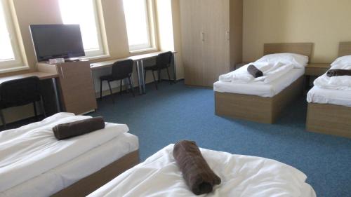 Uherske Hradiste House | Penzion s wellness Uherské Hradiště
