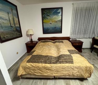 Frenstat pod Radhostem House | Penzion u dobrého lva