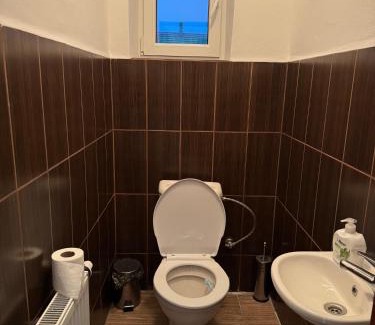 Frenstat pod Radhostem House | Penzion u dobrého lva