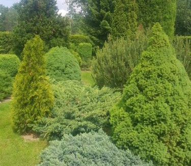 Liberec House | Penzion U Elišky