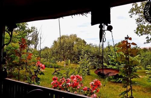 Visani House | Perla Neagră Lotus Spa