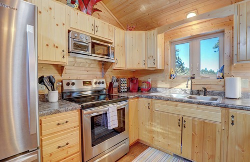Bailey Cabin | Pet-Friendly Cabin Near Denver & Breck Fire Pit Hot Tub
