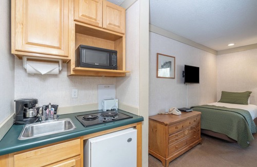 Telluride Hotel | Pet-Friendly Hotel Room With Kitchenette at Mountainside Inn