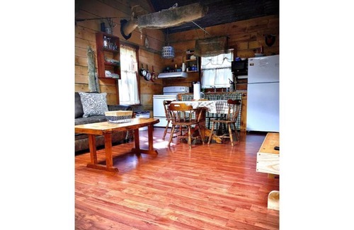 Westphalia Cabin | Pet Friendly Mallard Cabin Goose Pond Cabin Rental